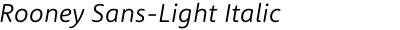 Rooney Sans-Light Italic